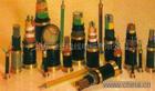 YJV22zb䓎| ӱYJV22zb|