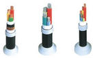 NHVV22 3*50+1*25 zbȼ|r