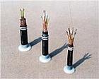 YC-J|r,YC-J|l
