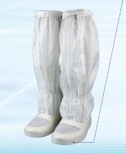 VݟomoͲЬa