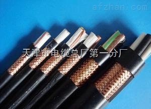 HYVP、HYAP、HYYP屏蔽通信電纜