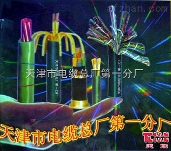 WDZAN-KYJYP 25*0.2低煙無鹵阻燃電纜