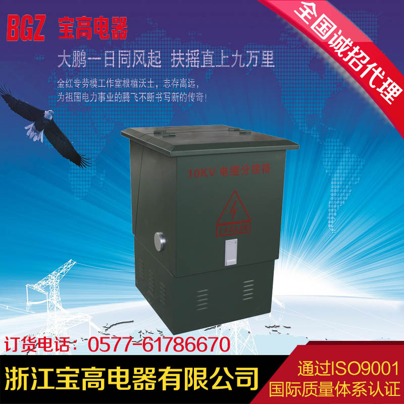 Wʽ10KV_P|֧