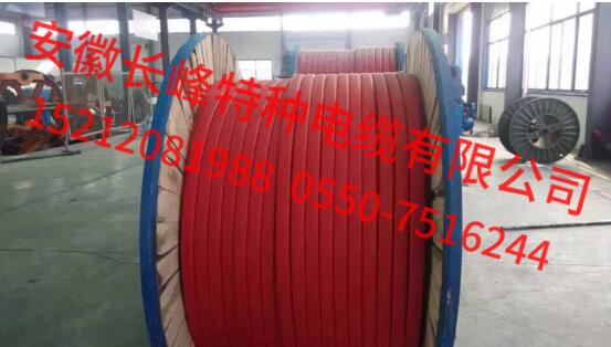 YGC-3*2.5YGCR-3*2.5YGCP3*2.5LطN|
