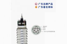 廣東穗星電纜礦物質新能源環保電纜