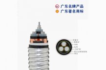 廣東穗星電纜實業有限公司