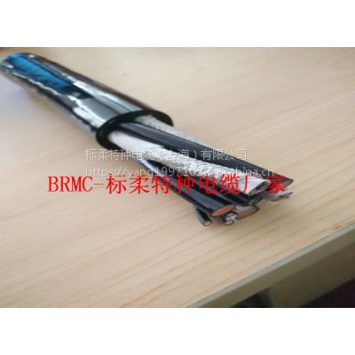 供應800w次移動使用高度柔性拖鏈電纜3*6+2*4現貨
