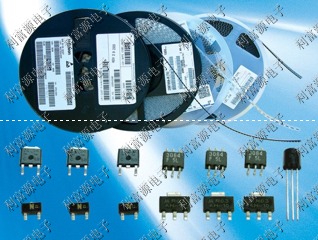 (yng)ZJY2401