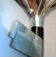 ZR-RVVP-2X1.0v
