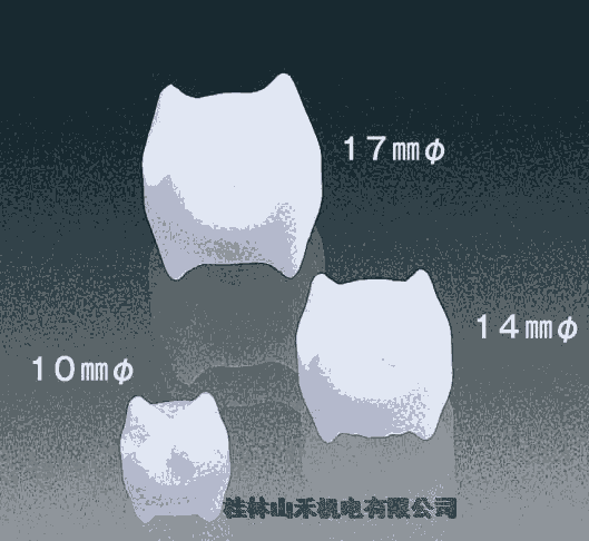 ݹץ飨RPTFE إå09427
