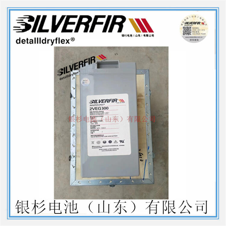 ԭbSILVERFIRyɼ늳2VEL300  UPSC2V-300AH늳