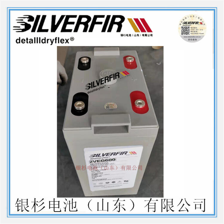 ԭbSILVERFIRyɼ늳2VEL600UPS2V-600AH늳