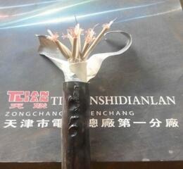 低煙無鹵通信線纜1X4X20mm均廠價銷售