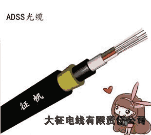 ADSS|ӱaS