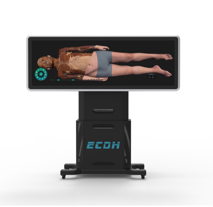 79̓M_ԃČWһwChC