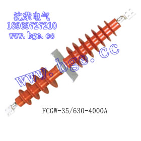 FCWW-12/1000A 3-G ʽͺϴ׹